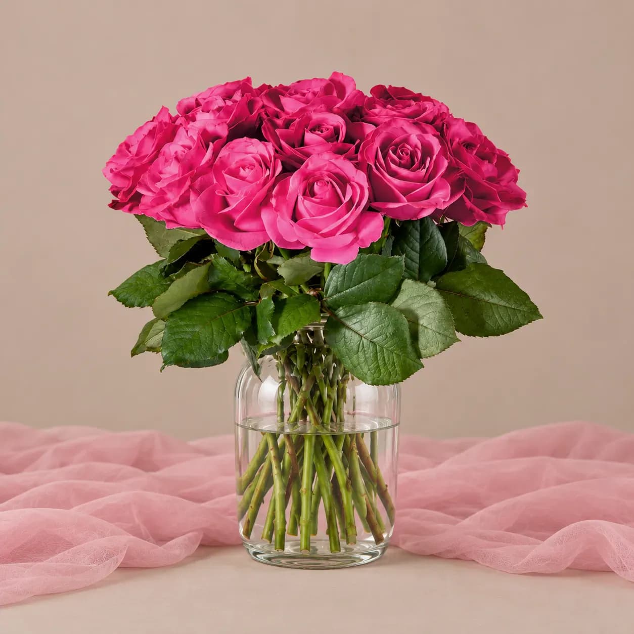 جارگل رز سرخابی کوچک — جارگل رز سرخابی کوچک