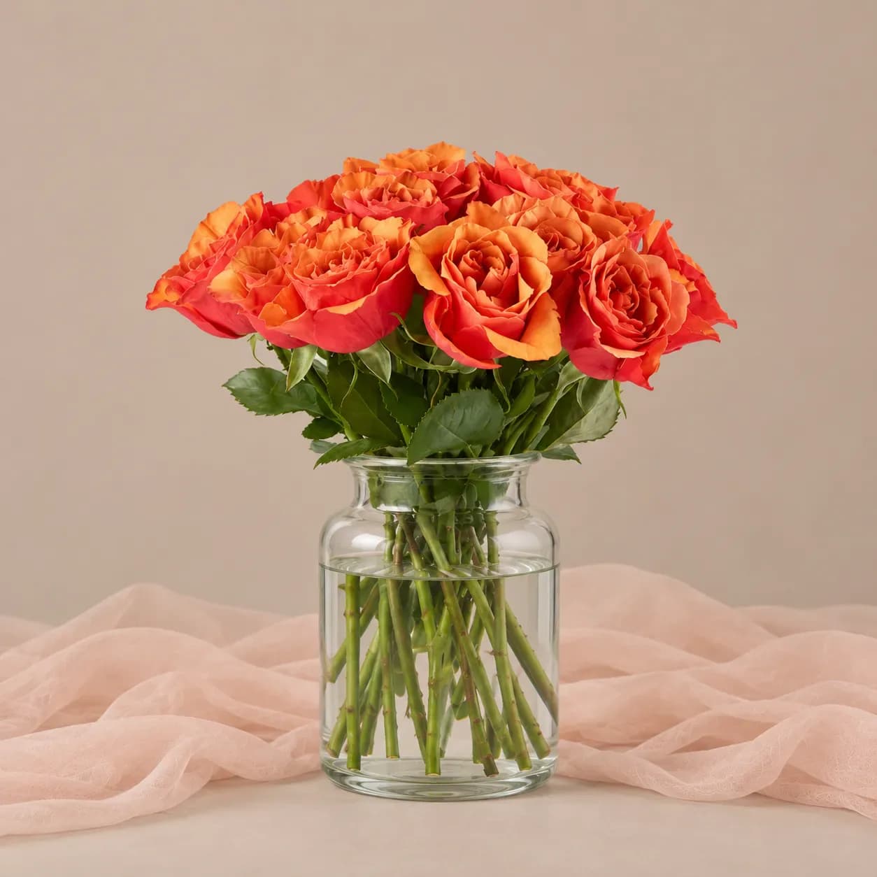 جارگل رز نارنجی 10 عددی — جارگل رز نارنجی 10 عددی
